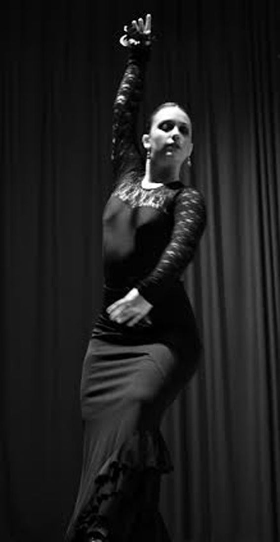 PERSONAJES VIVOS DEL QUIJOTE. EL VIZCAINO. ESQUIVIAS 2014.